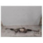 Cremaillere assistee ALFA ROMEO GIULIETTA 2