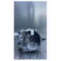 Boite de vitesses PEUGEOT 308 1