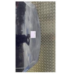 Capot DACIA SANDERO 1 Photo n°3