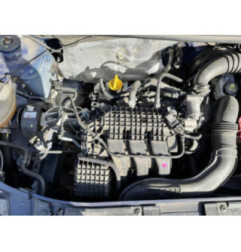 Porte arriere gauche DACIA SANDERO 2 Photo n°11