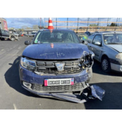 Porte arriere gauche DACIA SANDERO 2 Photo n°18