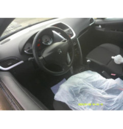 Porte arriere gauche PEUGEOT 207 Photo n°8