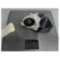 Moteur leve vitre avant droit AUDI A3 2
