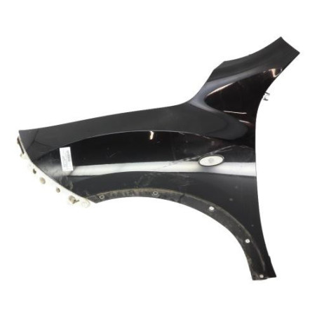 Aile avant gauche NISSAN JUKE 1 Photo n°1
