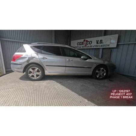 Calandre PEUGEOT 407