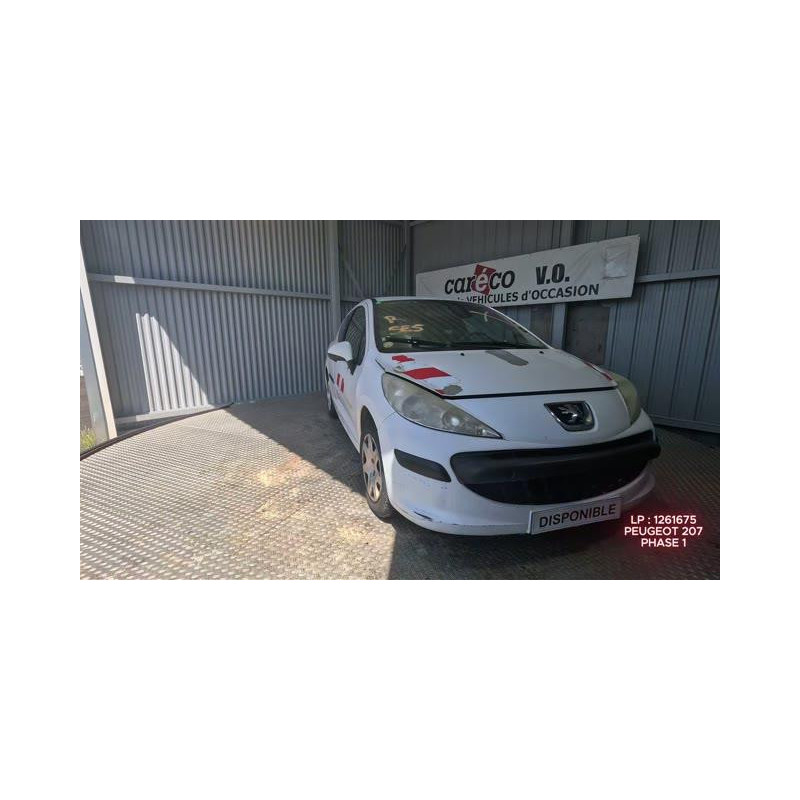 Mastervac PEUGEOT 207