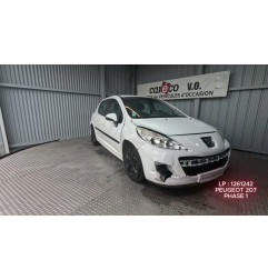 Capot PEUGEOT 207 Photo n°1