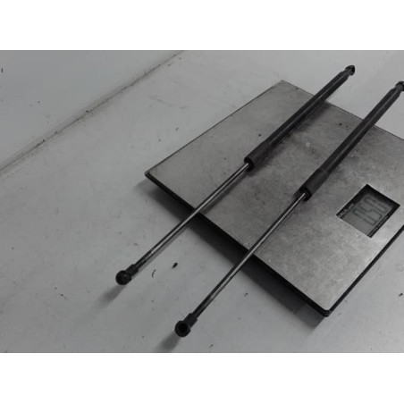 Verin de coffre NISSAN QASHQAI 1 Photo n°1