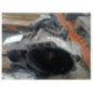 Boite de vitesses VOLKSWAGEN GOLF 5