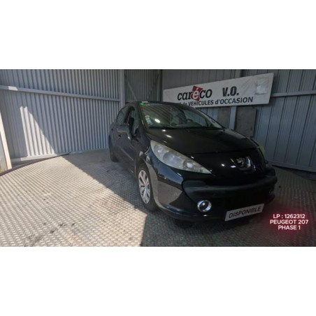 Mastervac PEUGEOT 207 Photo n°1