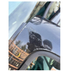 Porte arriere gauche DACIA DUSTER 1