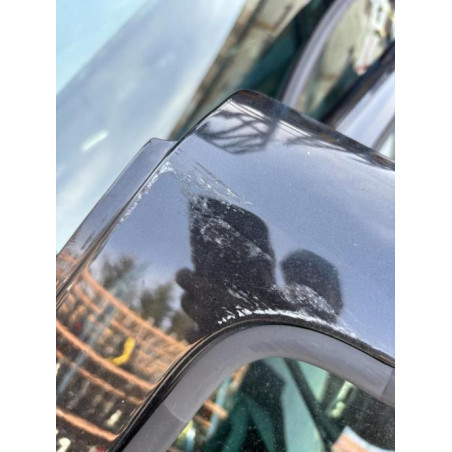 Porte arriere gauche DACIA DUSTER 1