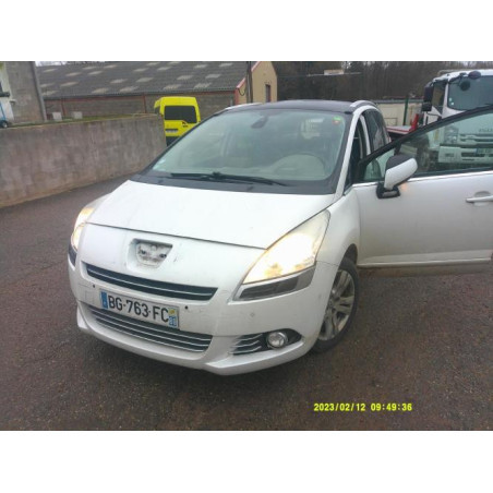 Porte arriere gauche PEUGEOT 5008 1
