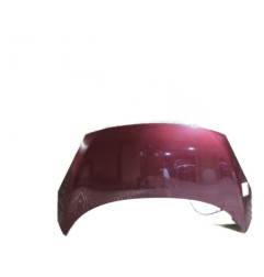 Capot RENAULT SCENIC 3 Photo n°1