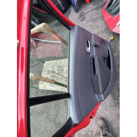 Porte arriere gauche RENAULT CLIO 3 Photo n°1