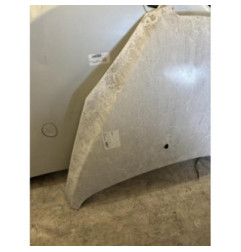 Capot PEUGEOT 307 Photo n°1