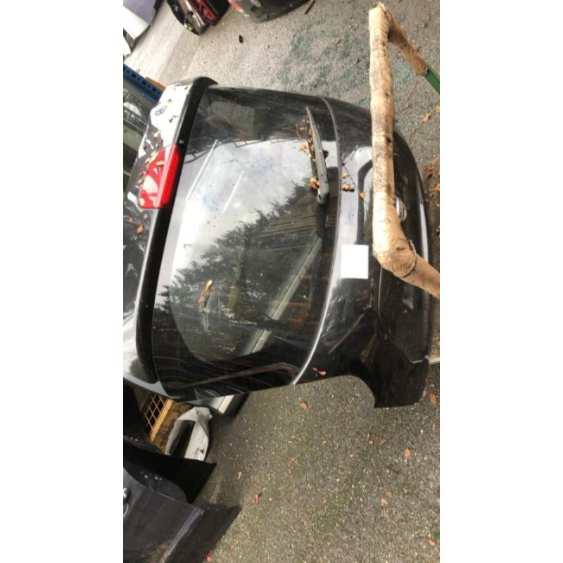 Malle/Hayon arriere NISSAN JUKE 1