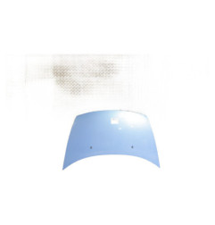 Capot CITROEN C3 1 Photo n°1