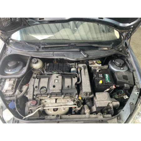 Mastervac PEUGEOT 206