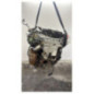 Moteur RENAULT TRAFIC 2