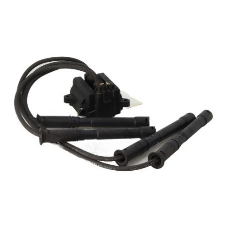 Bobine (allumage) RENAULT TWINGO 1 Photo n°1