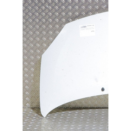 Capot RENAULT TWINGO 2