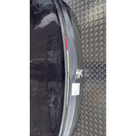 Malle/Hayon arriere PEUGEOT 207