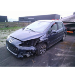 Malle/Hayon arriere PEUGEOT 308 1 Photo n°7