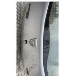 Malle/Hayon arriere DACIA SANDERO 1 Photo n°4