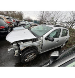 Porte arriere gauche DACIA SANDERO 2 Photo n°11