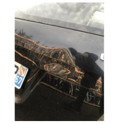 Malle/Hayon arriere MERCEDES CLASSE GLK 204