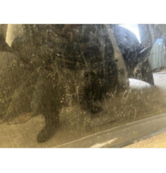 Capot CITROEN C4 GRAND PICASSO 1 Photo n°4