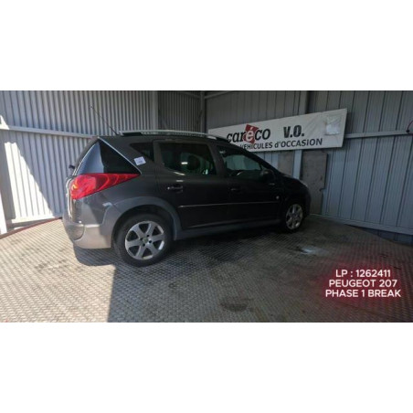 Capot PEUGEOT 207