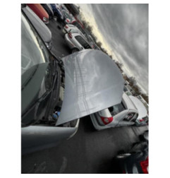 Porte arriere gauche VOLKSWAGEN TOURAN 1 Photo n°13