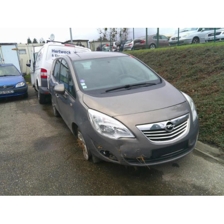 Porte avant gauche OPEL MERIVA B Photo n°1