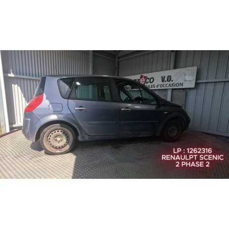 Custode arriere gauche RENAULT SCENIC 2