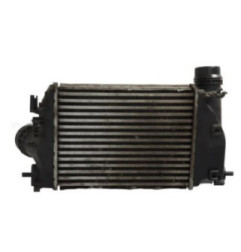 Echangeur air (Intercooler) RENAULT MEGANE 4