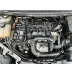 Ceinture avant droit FORD FOCUS 2 Photo n°19