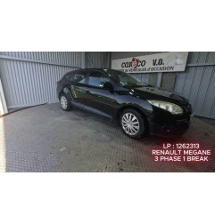 Mastervac RENAULT MEGANE 3 Photo n°1
