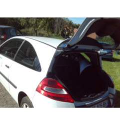 Anti brouillard gauche (feux) RENAULT MEGANE 2 Photo n°6