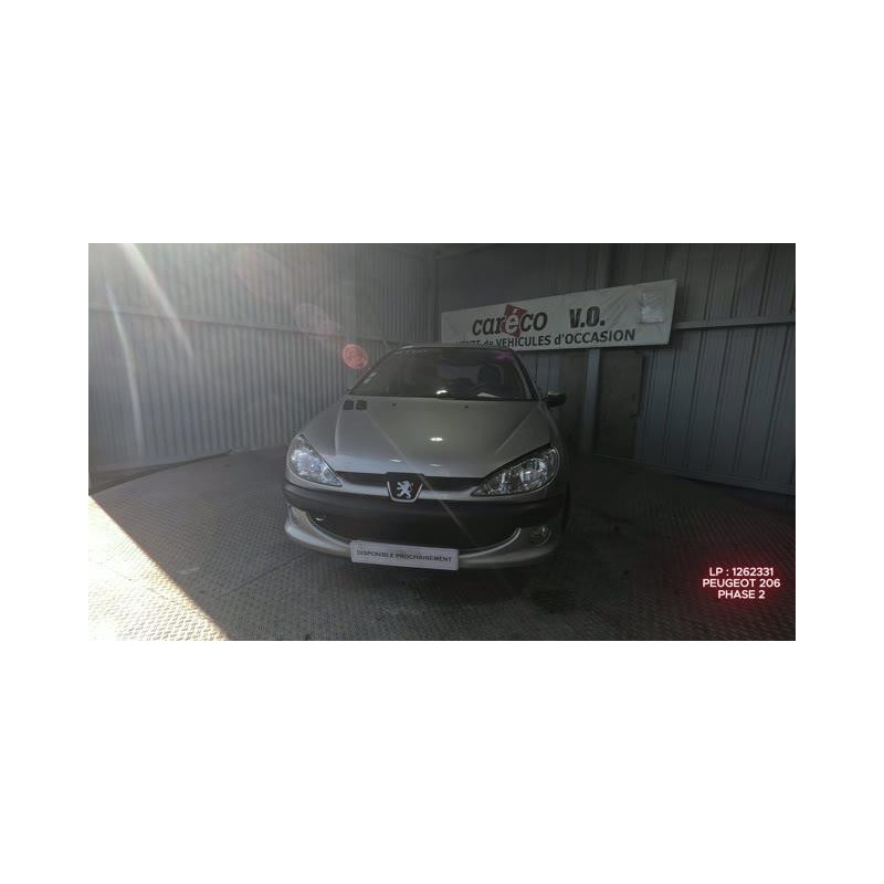 Mastervac PEUGEOT 206