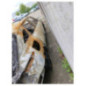 Camera CITROEN C5 X