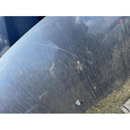 Capot CITROEN C3 PICASSO Photo n°1