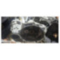 Boite de vitesses VOLKSWAGEN GOLF PLUS