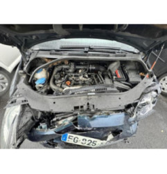 Porte arriere gauche VOLKSWAGEN GOLF PLUS Photo n°15