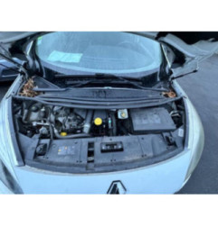 Porte arriere gauche RENAULT SCENIC 3 Photo n°9