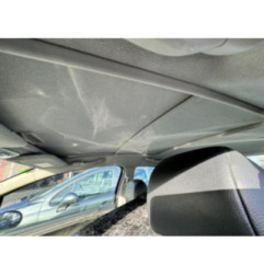 Porte avant gauche PEUGEOT 207 Photo n°12