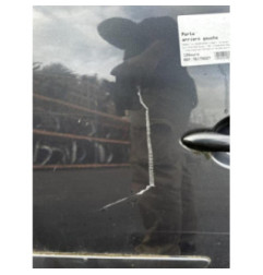 Porte arriere gauche RENAULT ESPACE 4 Photo n°1