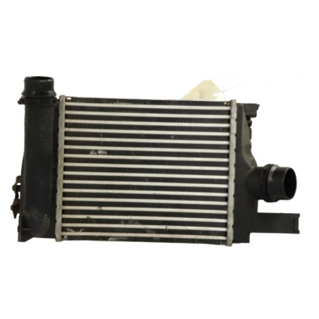 Echangeur air (Intercooler) RENAULT CLIO 4