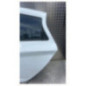 Porte arriere gauche RENAULT ZOE 1